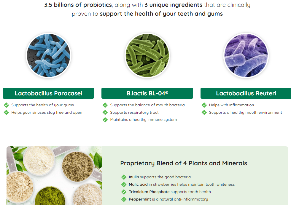 ProDentim Ingredients