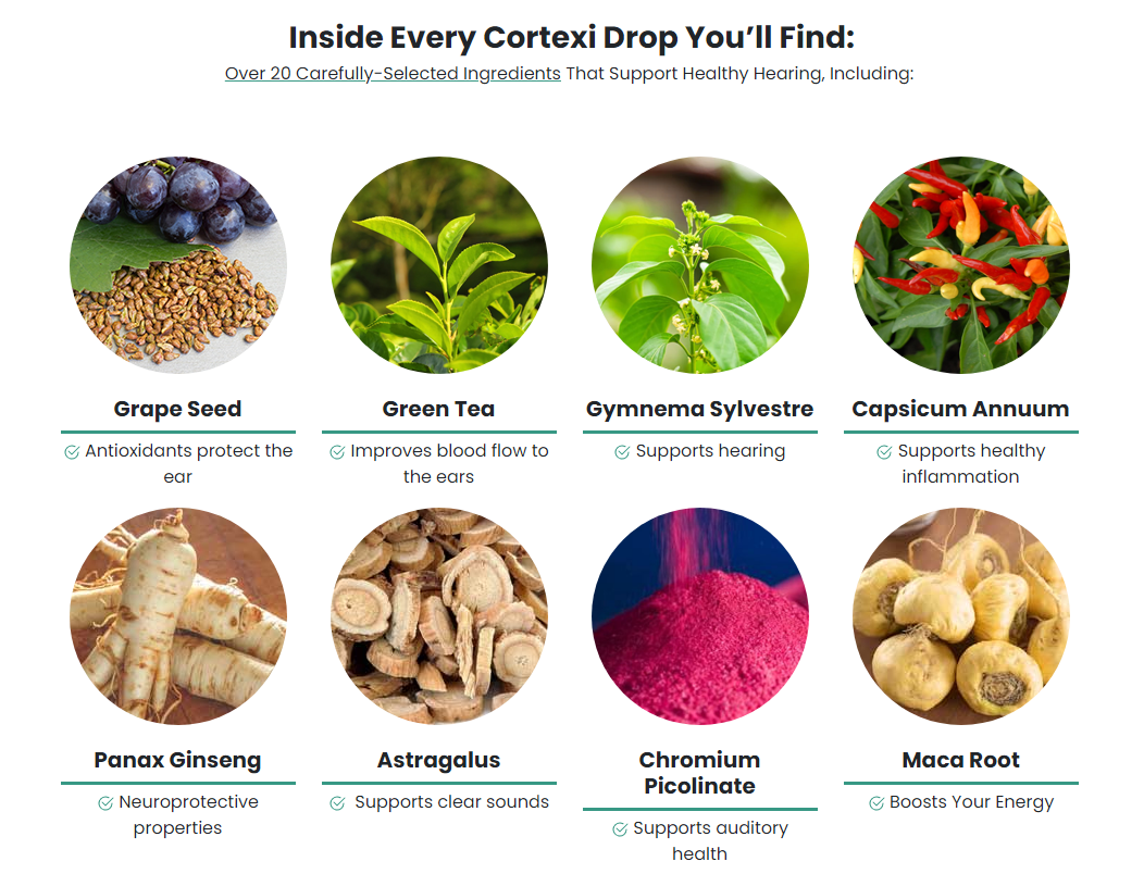 cortexi ingredients