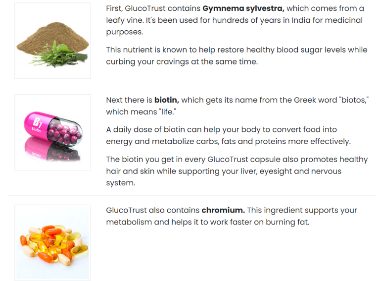 GlucoTrust Ingredients: What’s Inside the Supplement?